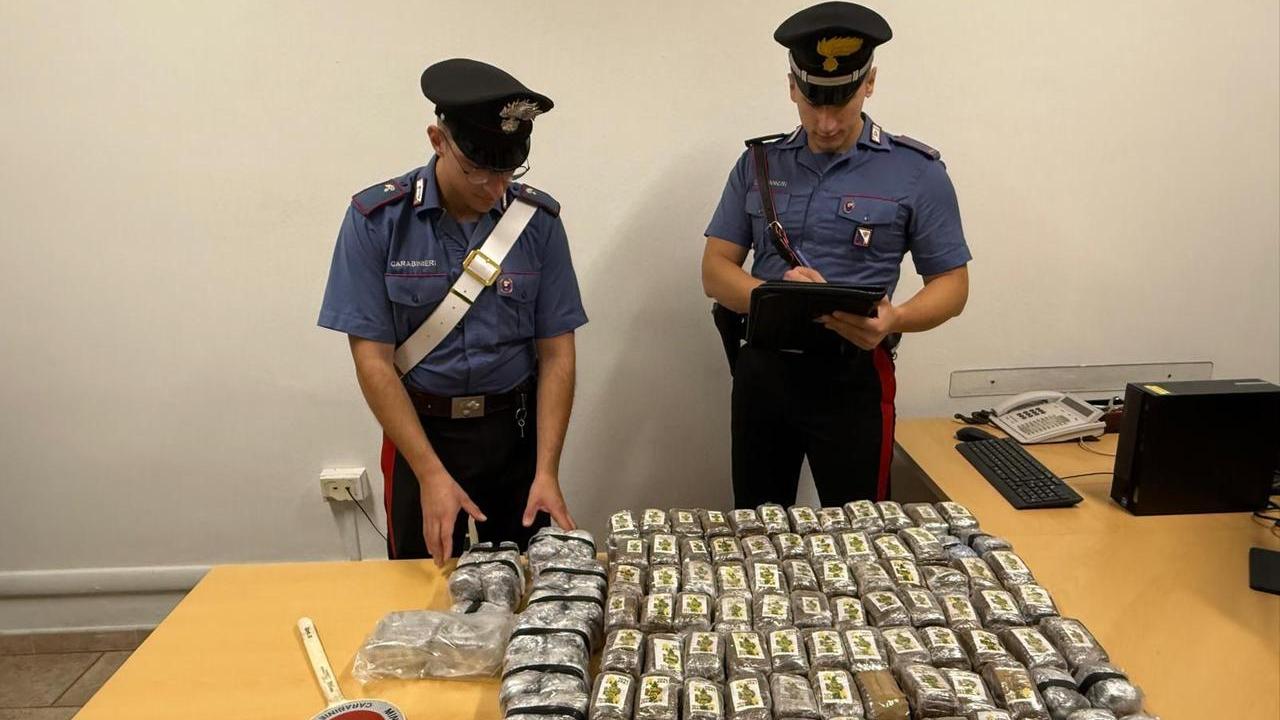 Blitz dei carabinieri in campagna: trovati 51 chili di hascisc sotto una quercia