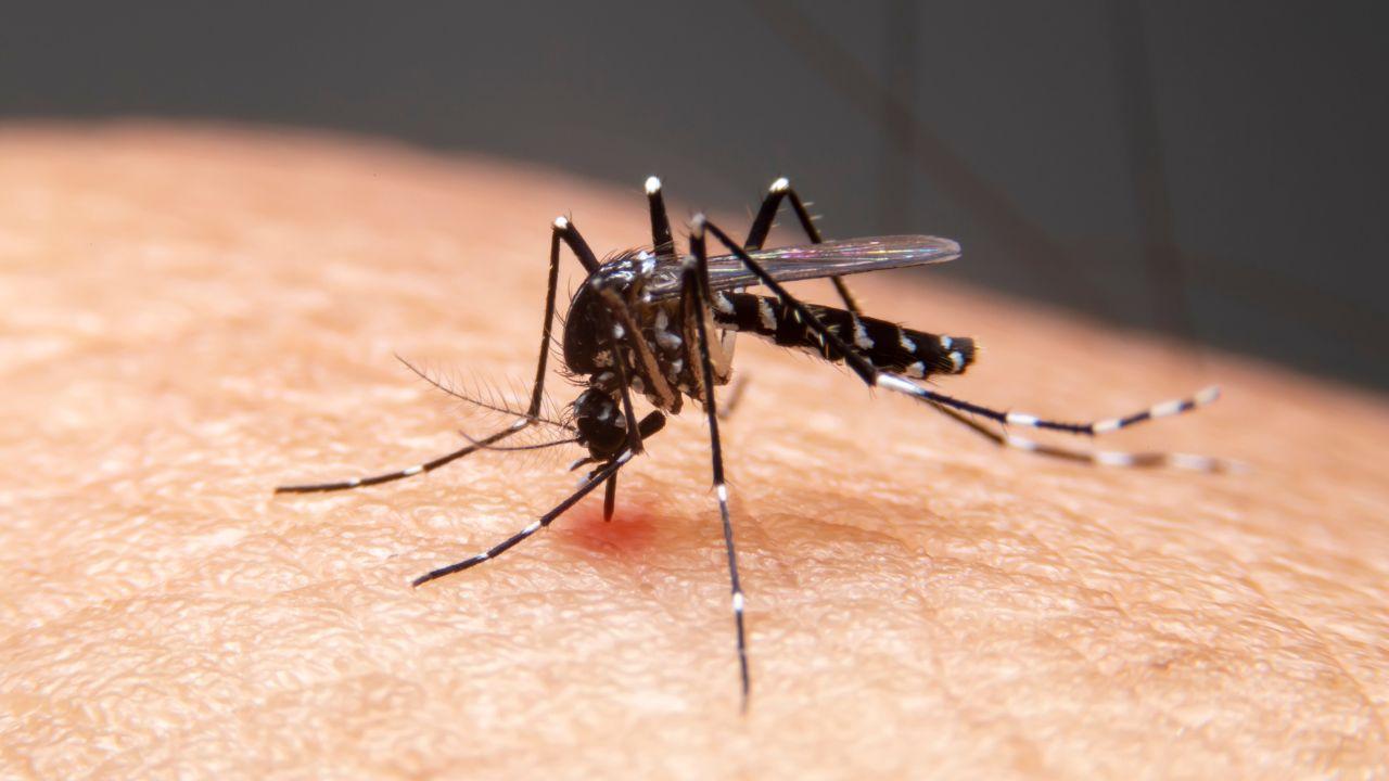 
	Caso di febbre Dengue a Pontedera

