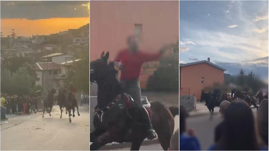Corsa a cavallo illegale tra le vie del paese: otto denunciati – VIDEO