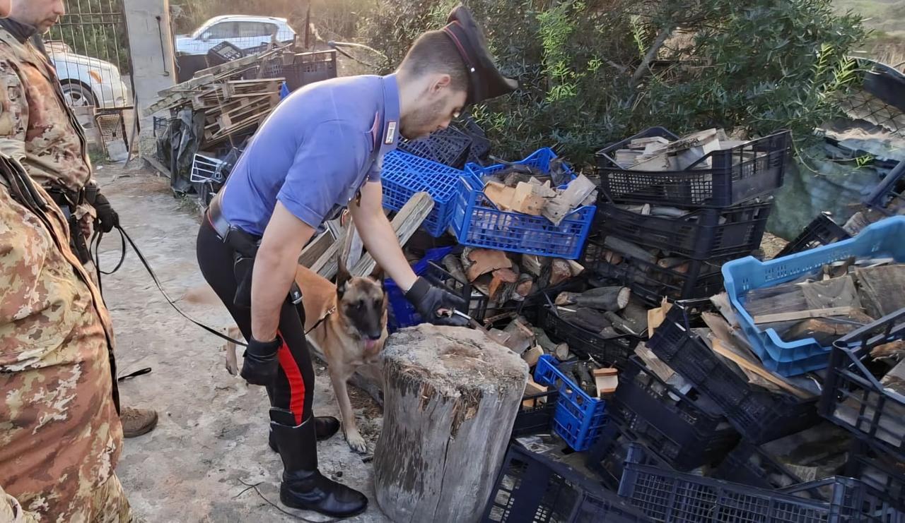 Rifiuti, stoccate 16 mila tonnellate oltre il limite e senza controlli: sei denunce