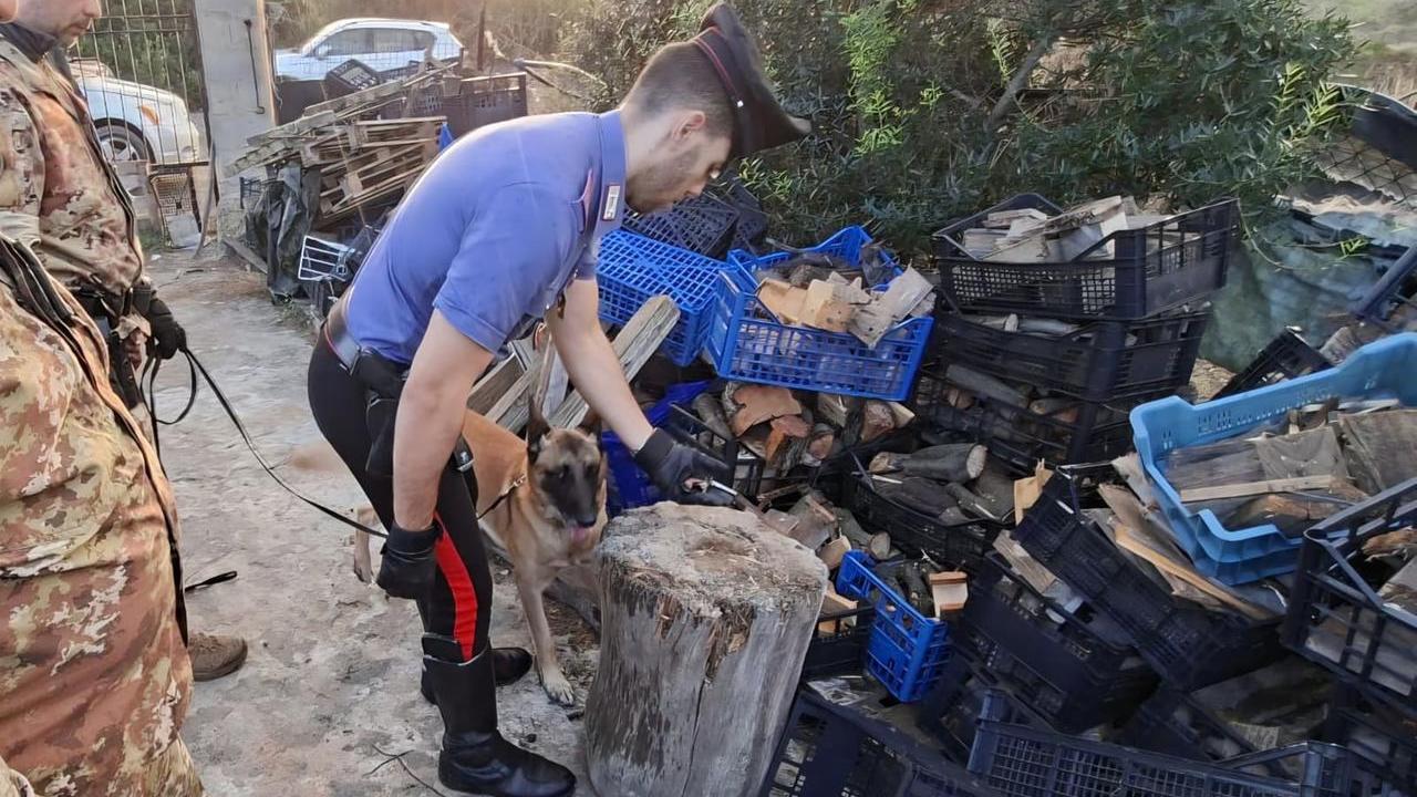 Rifiuti, stoccate 16 mila tonnellate oltre il limite e senza controlli: sei denunce
