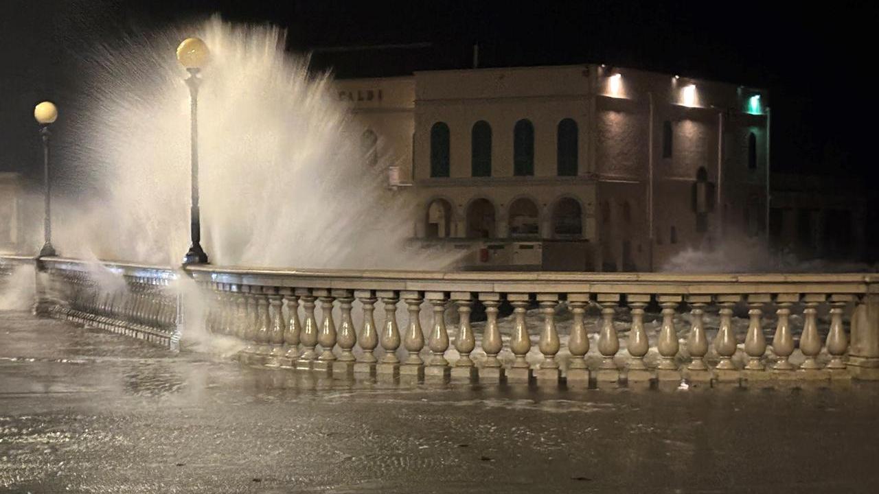 Livorno, la mareggiata dà spettacolo. Grazie a Patrizia Bernini