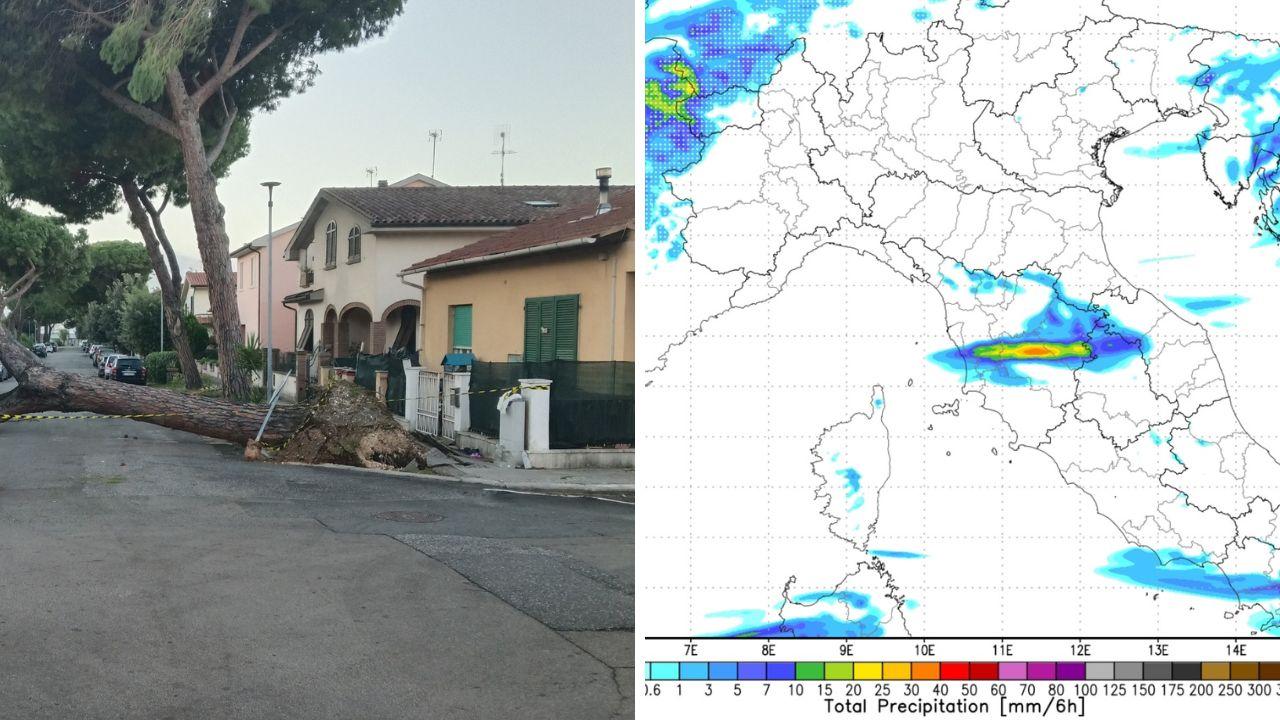 Un albero caduto e le previsioni per sabato 25