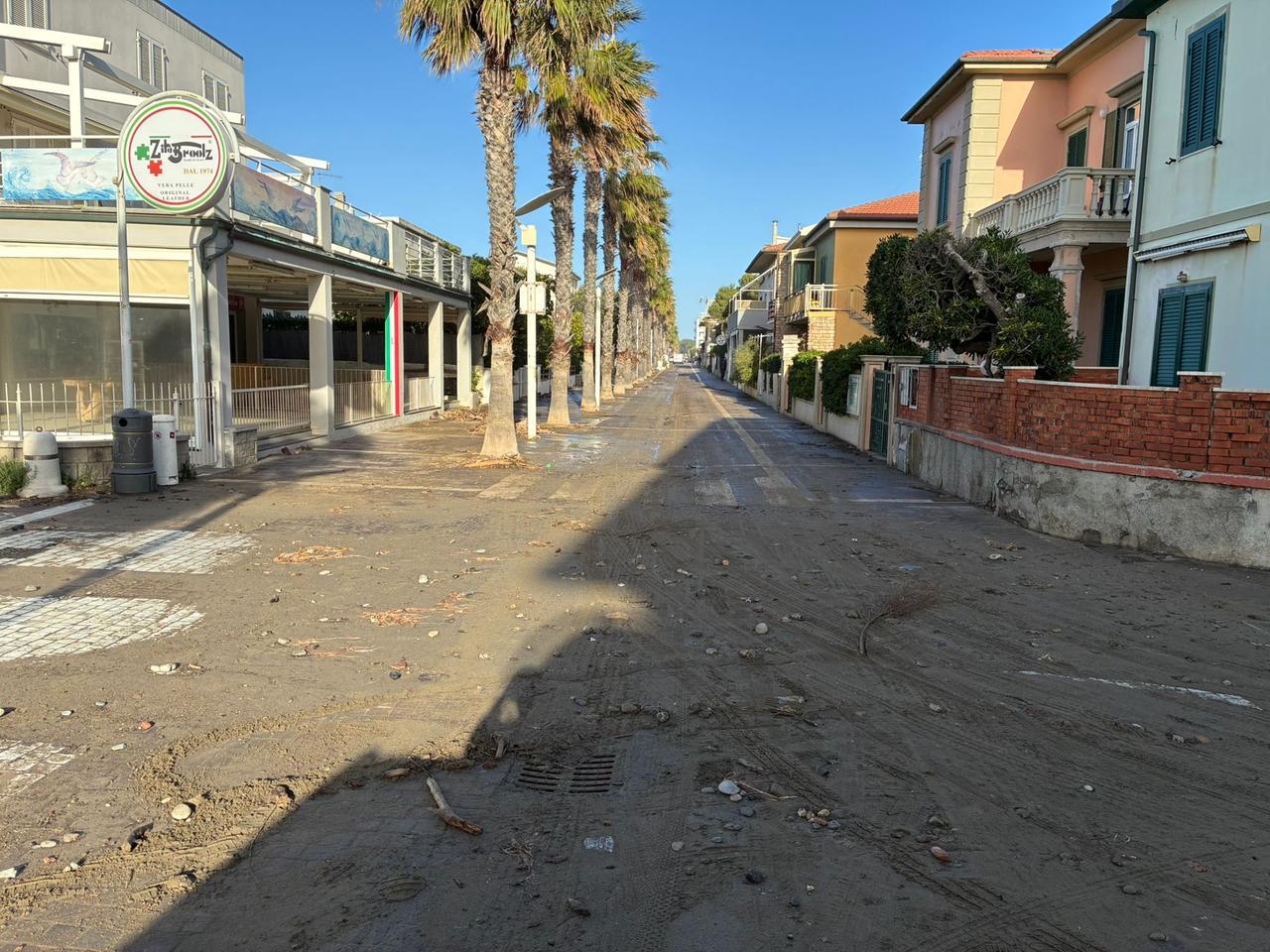 
	Viale della Vittoria a Cecina (foto Falorni)

