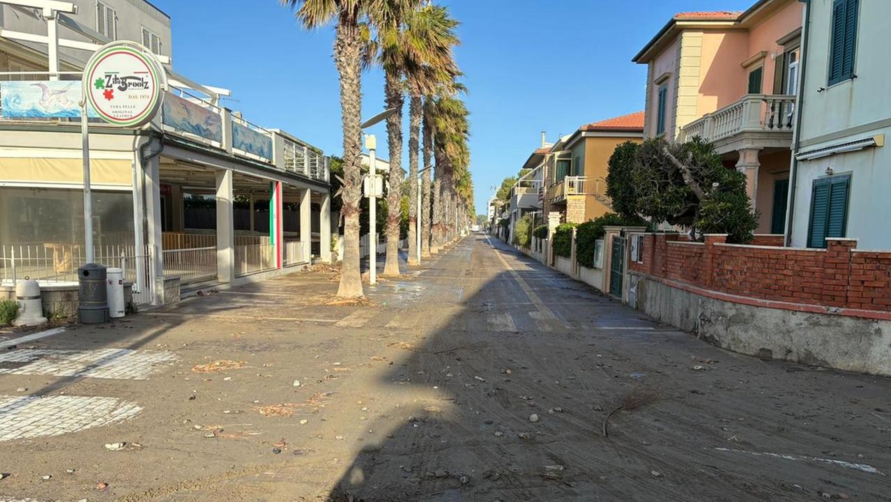Viale della Vittoria a Cecina (foto Falorni)