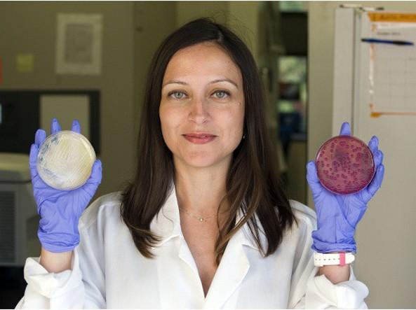 Manuela Raffatellu, la scienziata sarda ai vertici della ricerca in America: «Ma ora vorrei aiutare la mia terra»