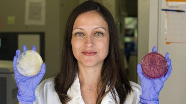 Manuela Raffatellu, la scienziata sarda ai vertici della ricerca in America: «Ma ora vorrei aiutare la mia terra»