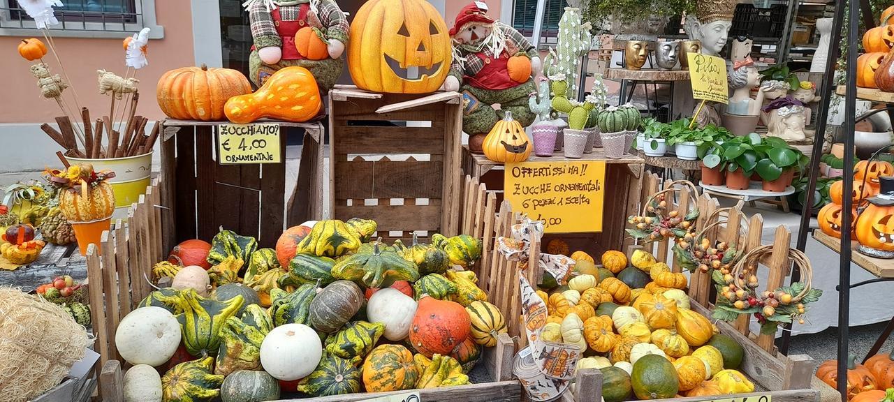 Autunno ducale, sagre e calcio. Cosa fare a Ferrara e in provincia nel weekend