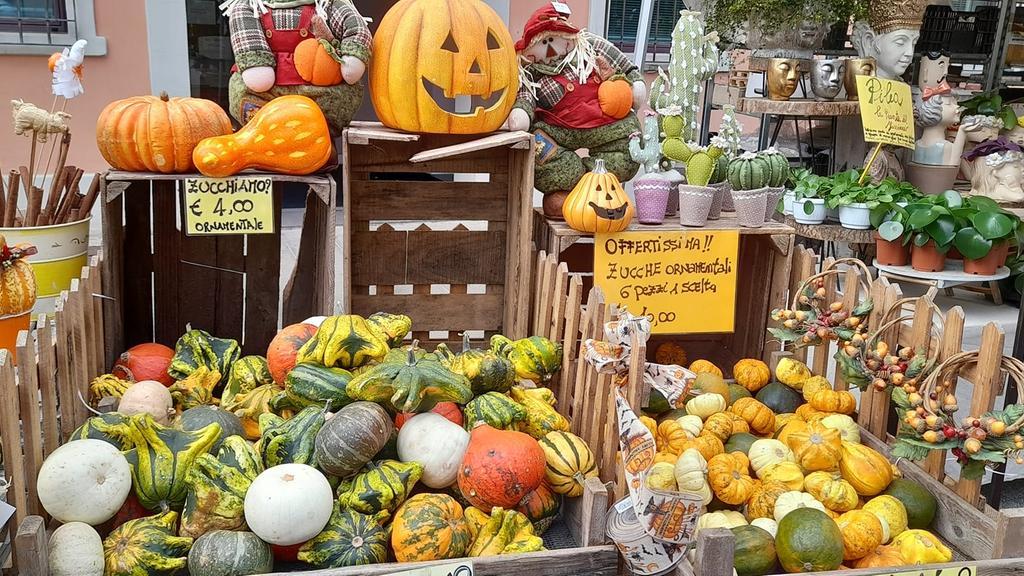 Autunno ducale, sagre e calcio. Cosa fare a Ferrara e in provincia nel weekend