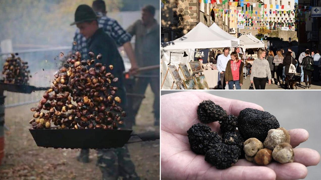 Castagne e tartufo in Appennino