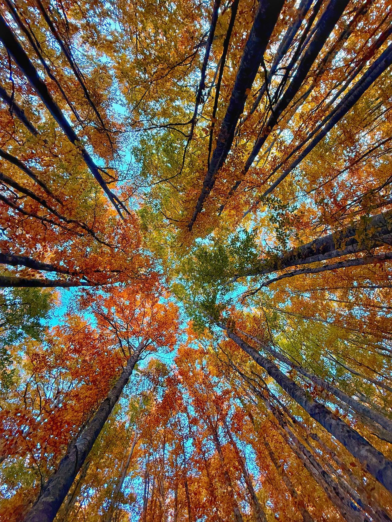 _0