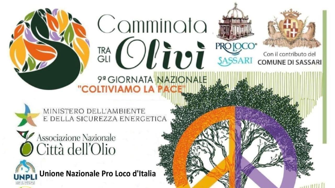 Una camminata tra gli olivi fra degustazioni, esposizioni e incontri con esperti del settore