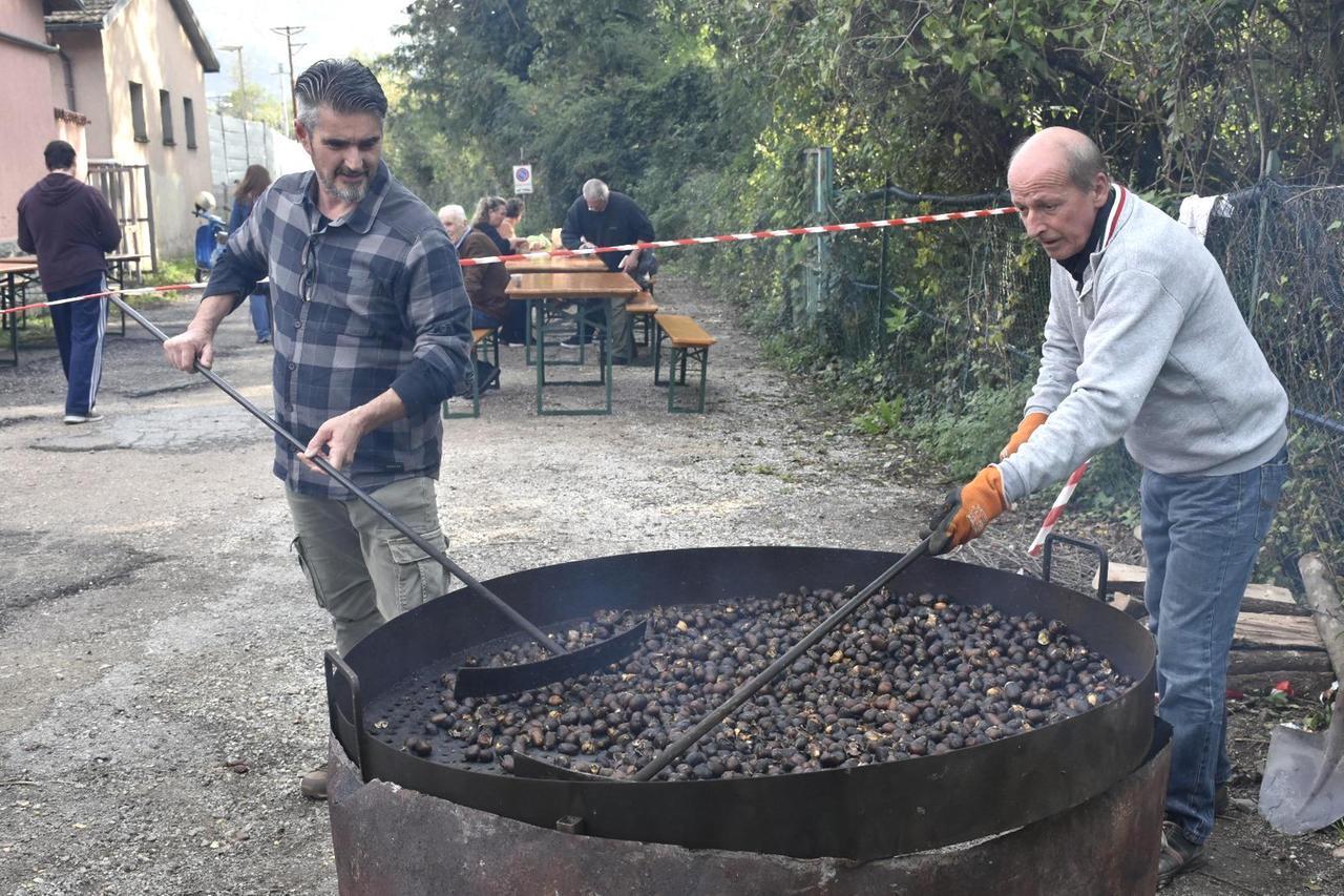 
	La festa della castagna a Vernio

