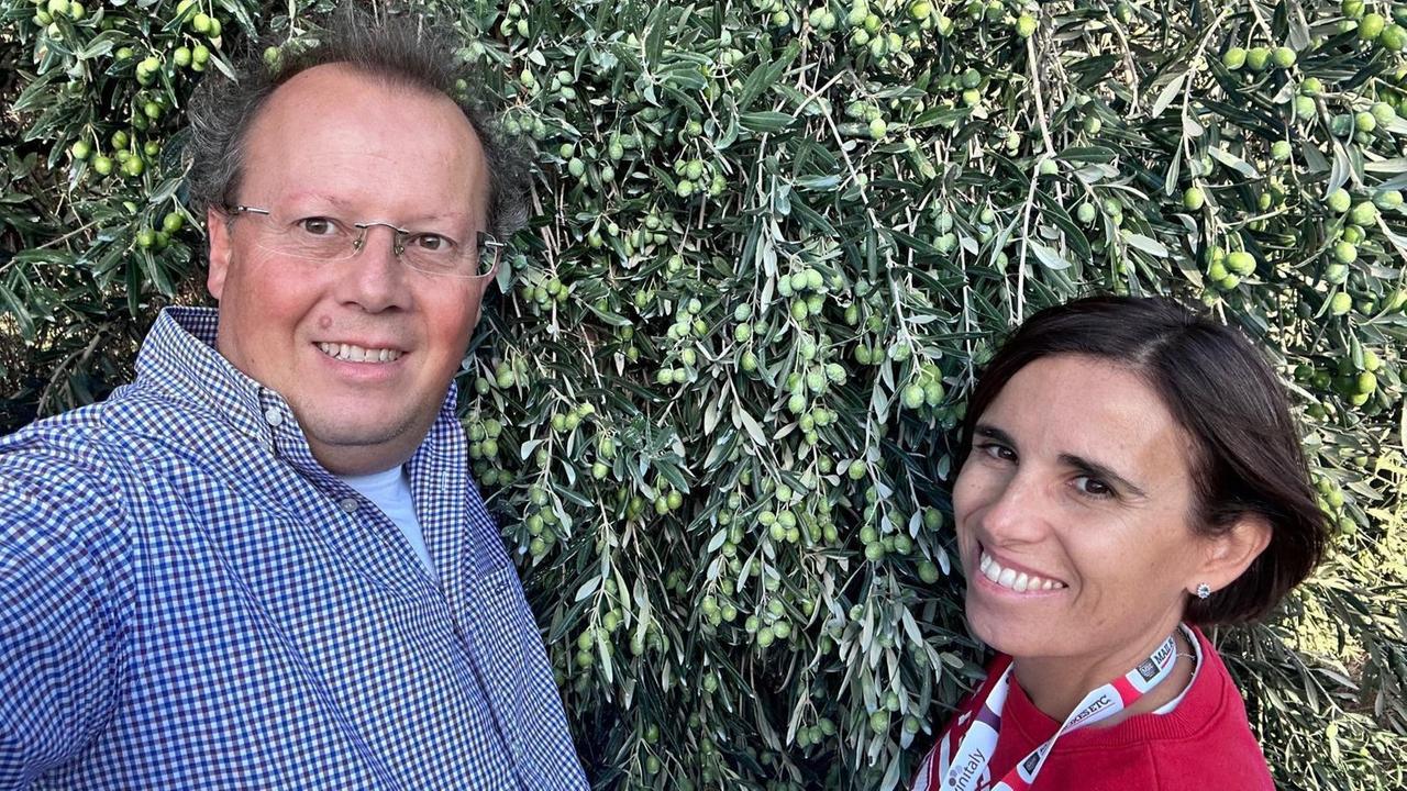 Masoni Becciu, eccellenza di Villacidro: l’olio biologico che ha stregato i giapponesi