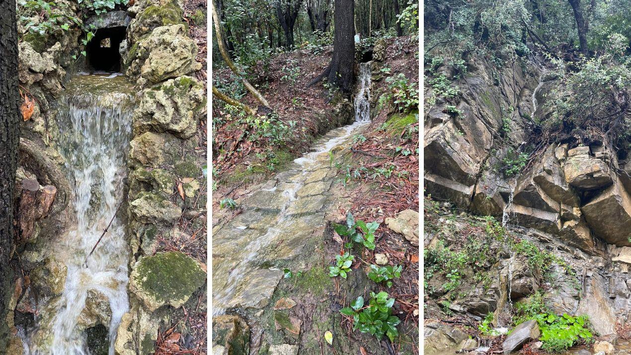 Livorno, riemerge dalla storia la cascatella della memoria di Villa Rodocanacchi