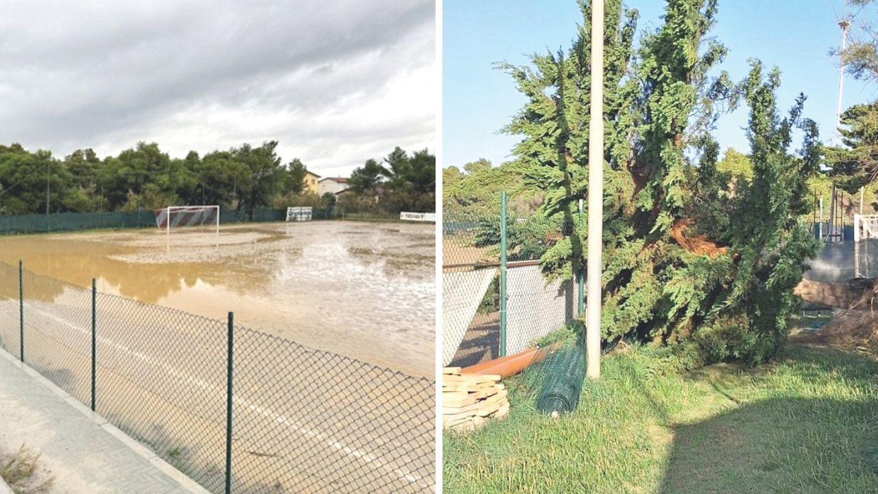 Il campo allagato e l'albero crollato sulla recinzione