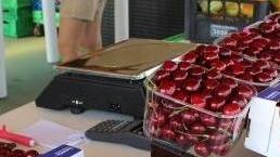 Cittadinanza negata per... le ciliegie