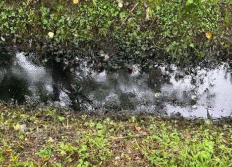 Capannori, grave sversamento di olio per motore in un fosso