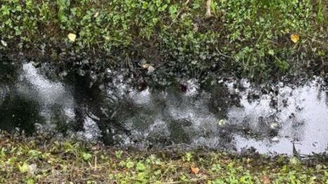 Capannori, grave sversamento di olio per motore in un fosso