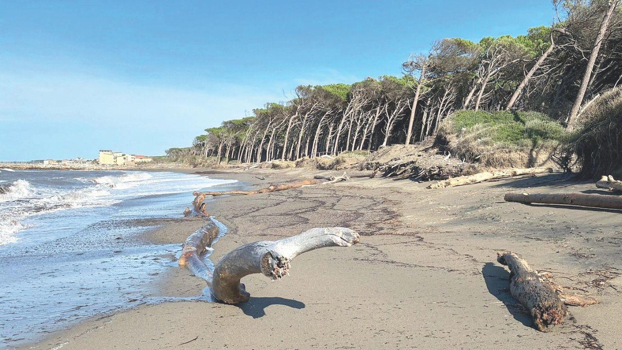 La zona del Tombolo sud a Cecina
