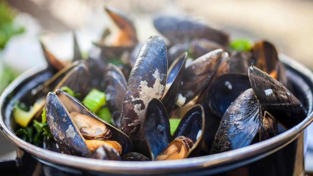 
	Cozze ritirate dai supermercati (Foto di repertorio)

