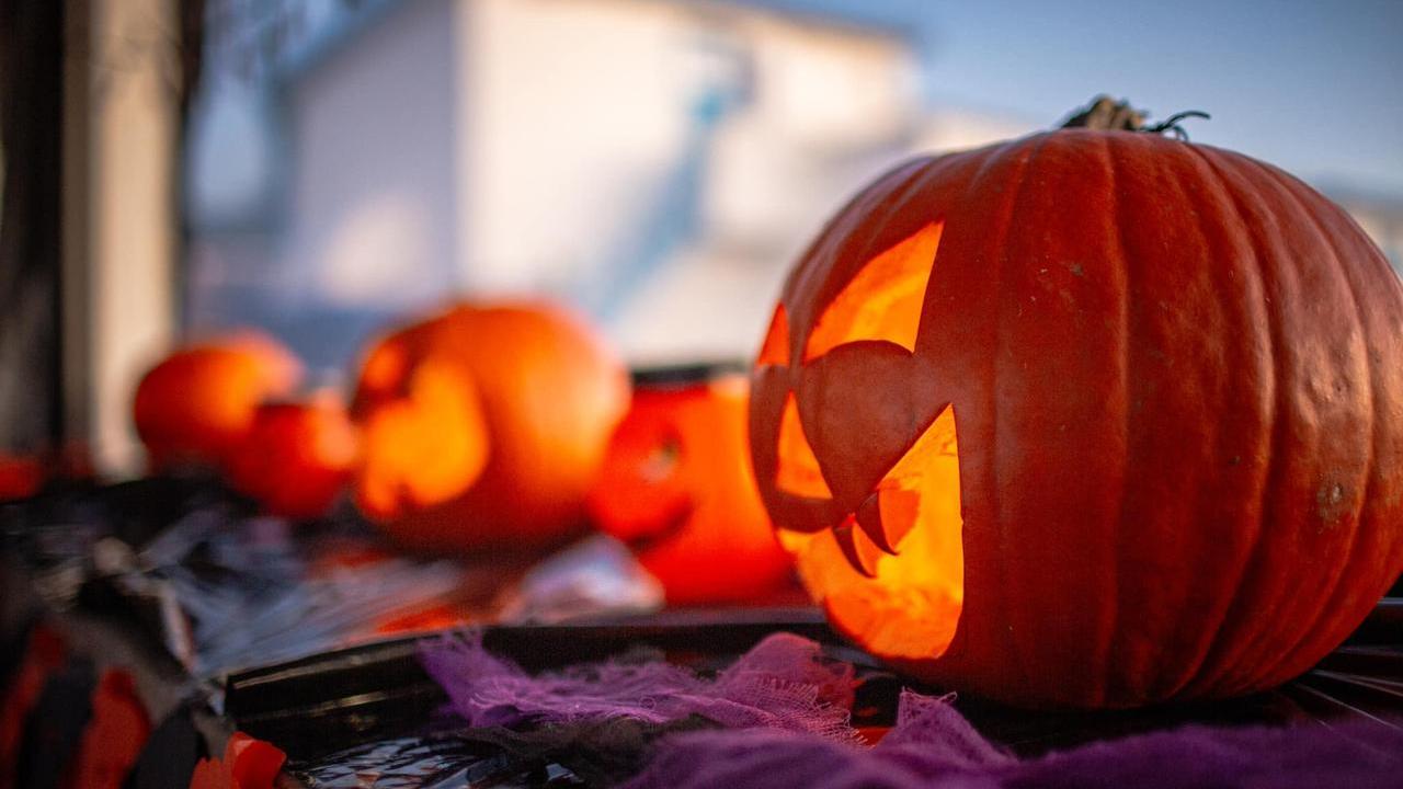 Halloween a Livorno, 15 appuntamenti (da non perdere) tra spettacoli, notti spettrali ed eventi per tutte le età
