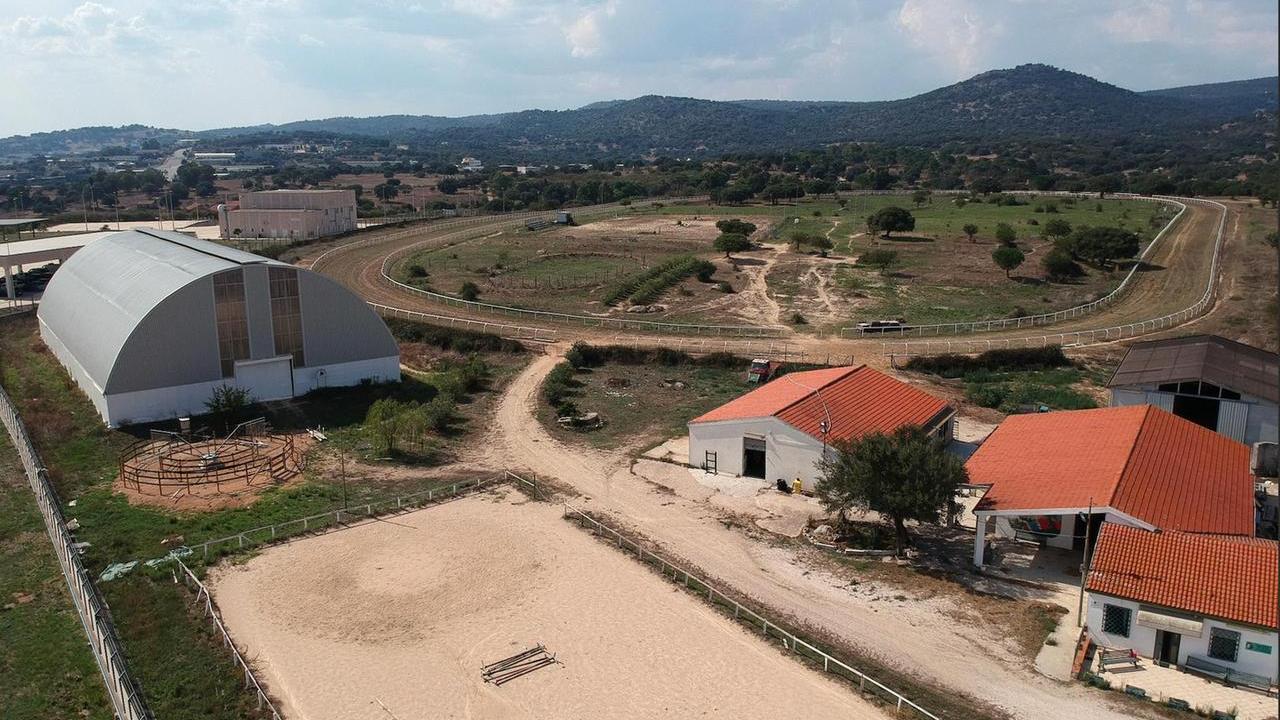 Minacce di morte, spray sui muri: «Devi lasciare il galoppatoio»