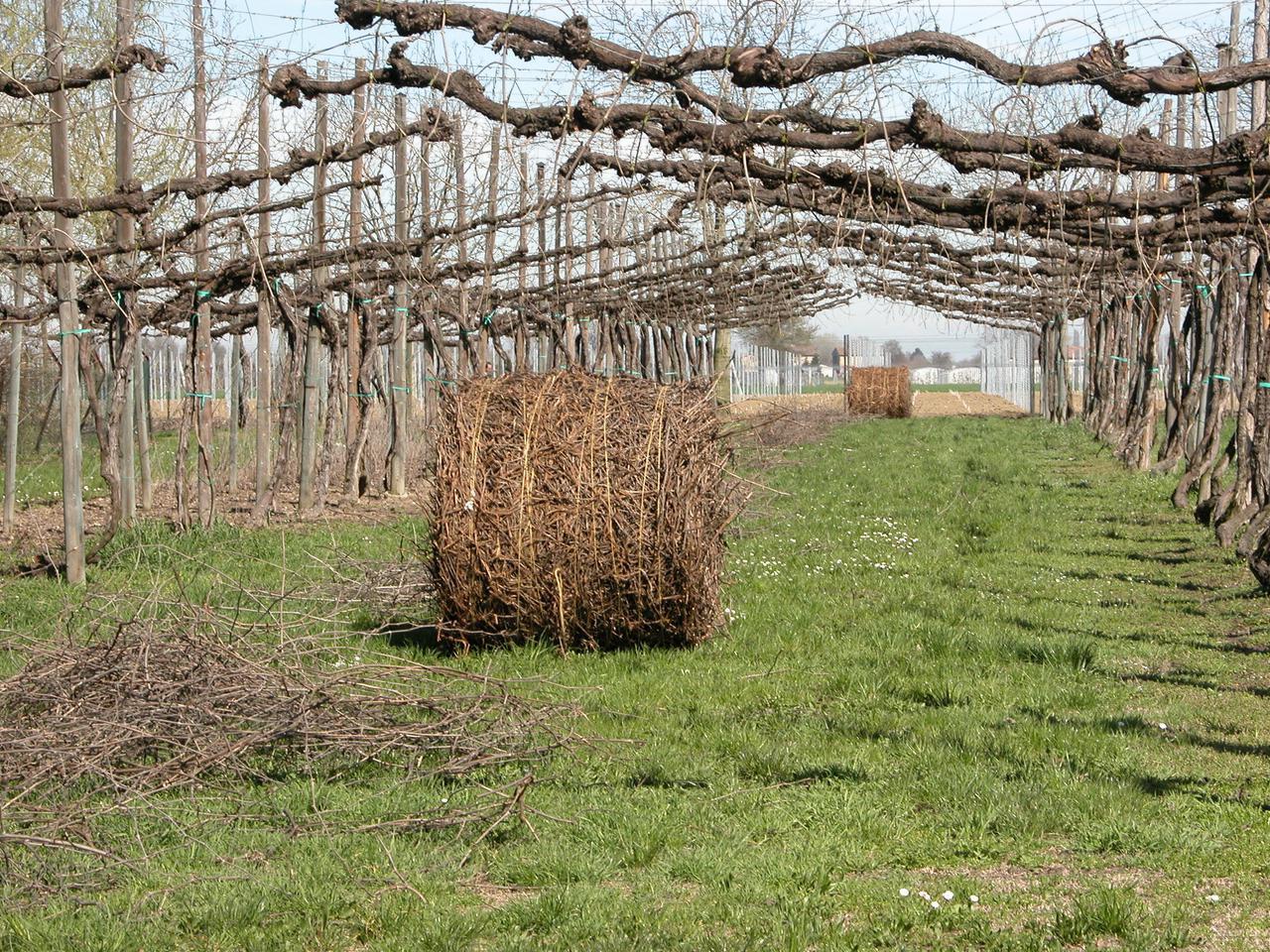 Cecina, tenta di uccidere con le forbici il collega che non lo ha salutato – Chi è il 22enne fermato