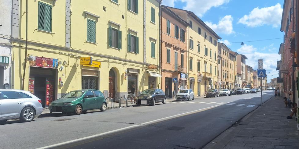 Pisa, cane ingoia droga nascosta nel prato: «Via Cattaneo è ormai oltre i limiti»<br>
