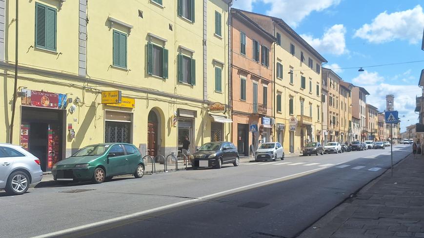 Pisa, cane ingoia droga nascosta nel prato: «Via Cattaneo è ormai oltre i limiti»<br type="_moz" />