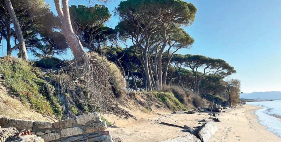 Piombino, spiagge in concessione tra Torre Mozze e Baia Toscana: sono in 35 a farsi avanti<br type="_moz" />
