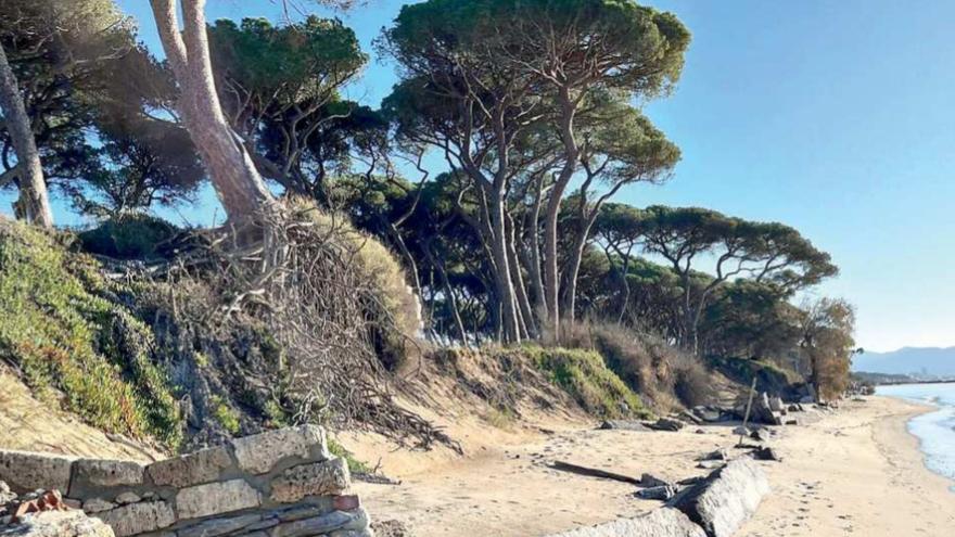 Piombino, spiagge in concessione tra Torre Mozze e Baia Toscana: sono in 35 a farsi avanti<br type="_moz" />