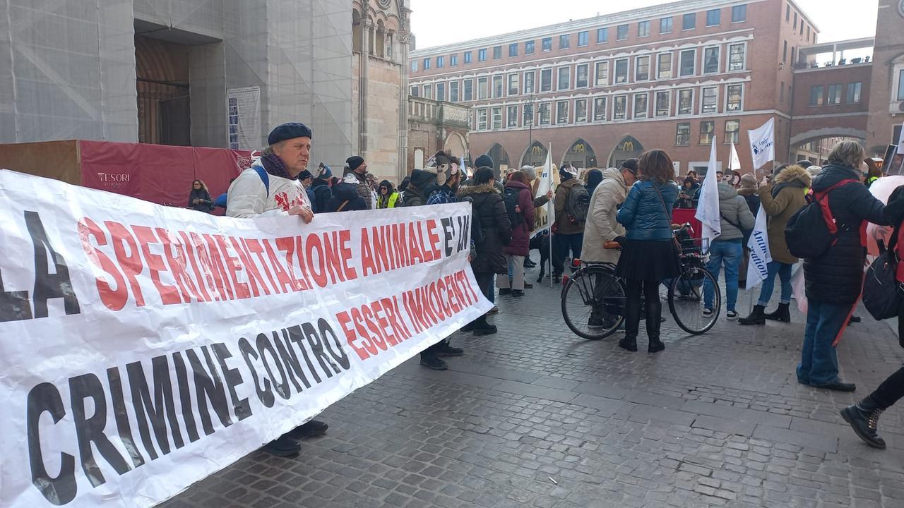 Caso macachi a Ferrara, indagini chiuse: le accuse alla rettrice e altri due prof Unife