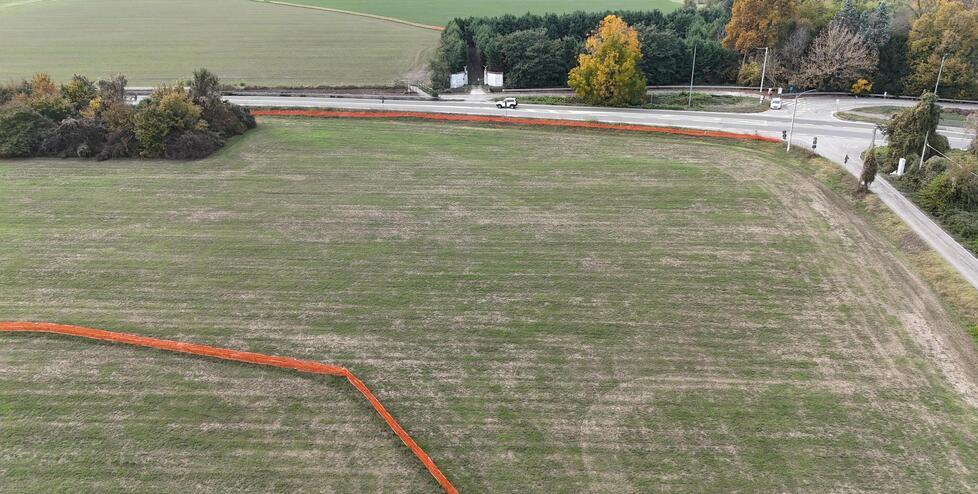 Bretella Sassuolo-Campogalliano, la manifestazione per bloccare la deforestazione