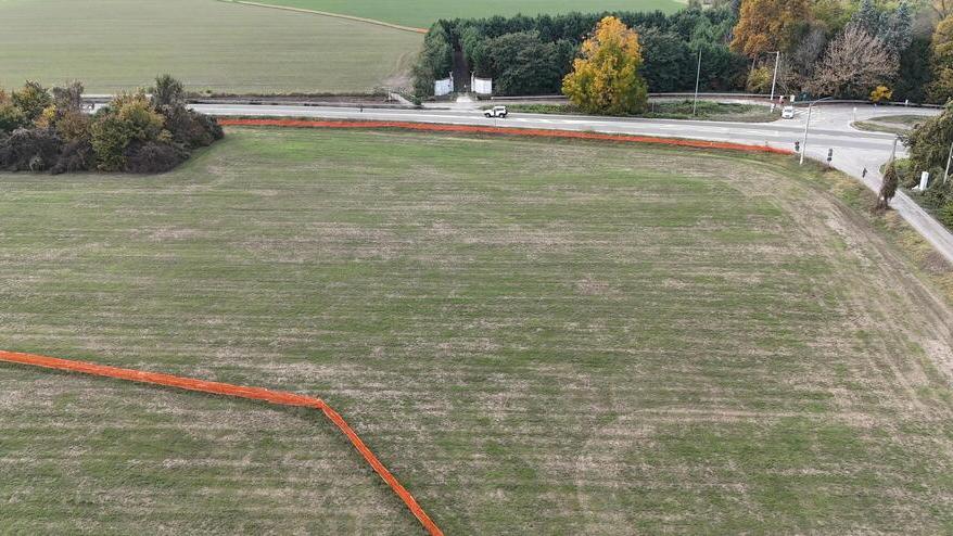 Bretella Sassuolo-Campogalliano, la manifestazione per bloccare la deforestazione