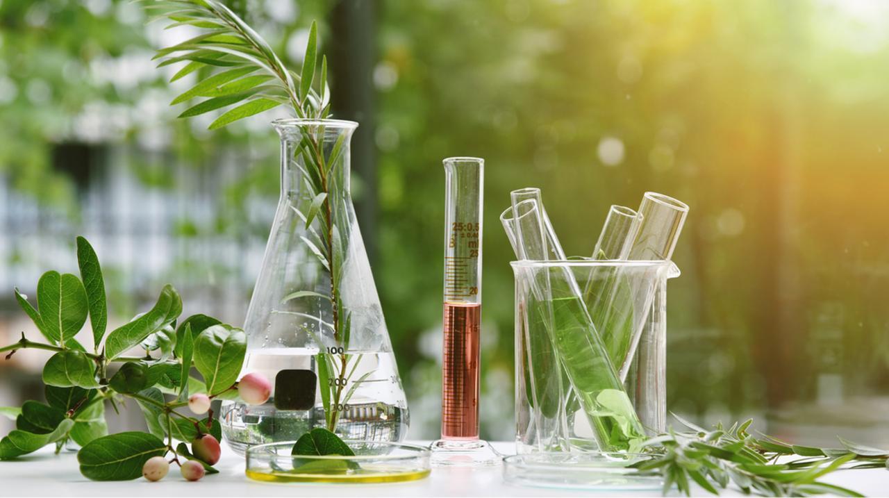 Una cosmesi rispettosa della pelle e dell’ambiente