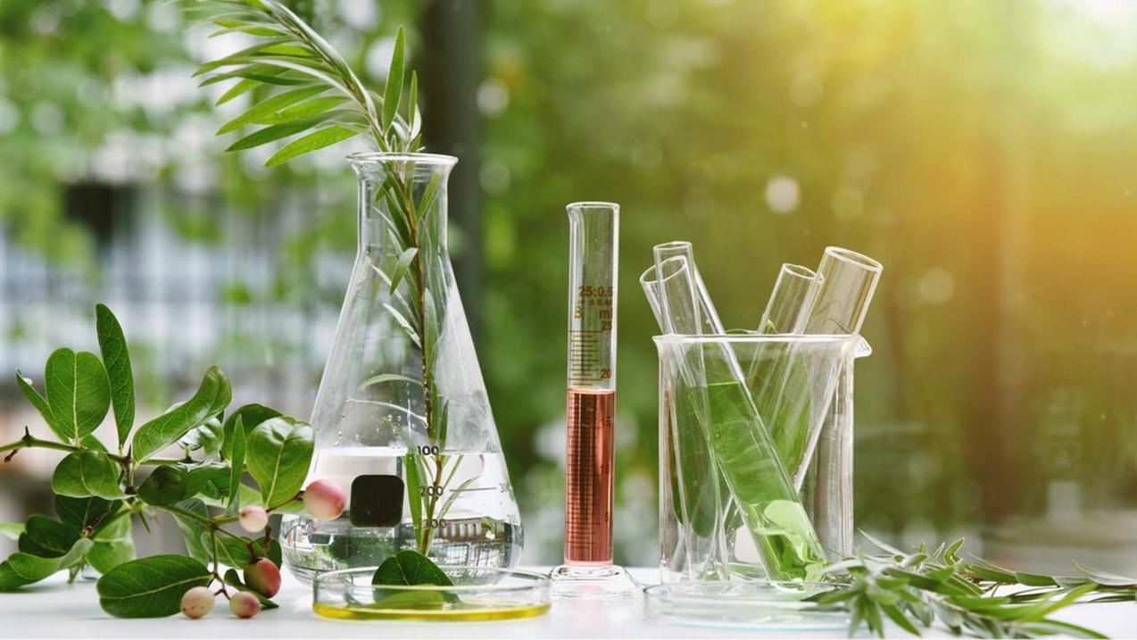 Una cosmesi rispettosa della pelle e dell’ambiente