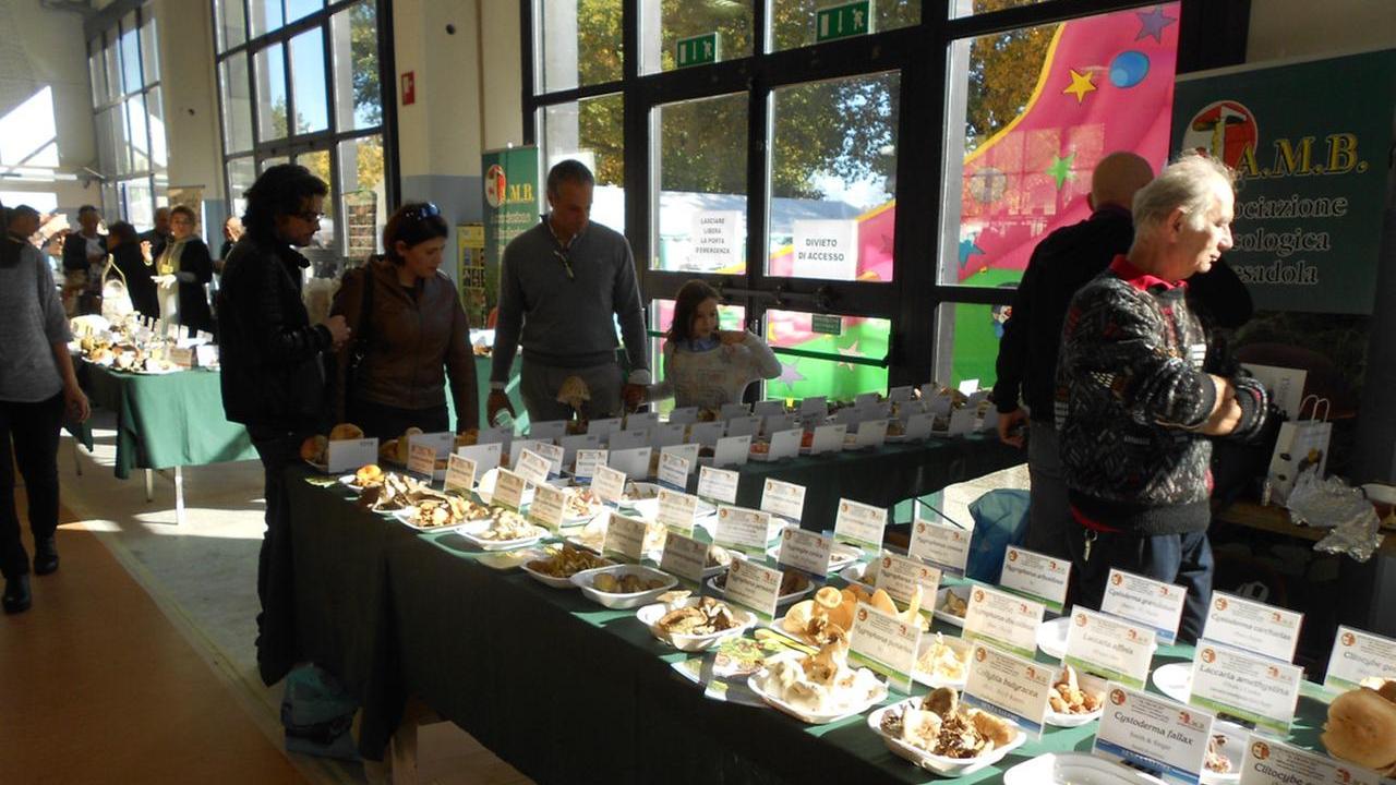 La Festa del tartufo a Viano