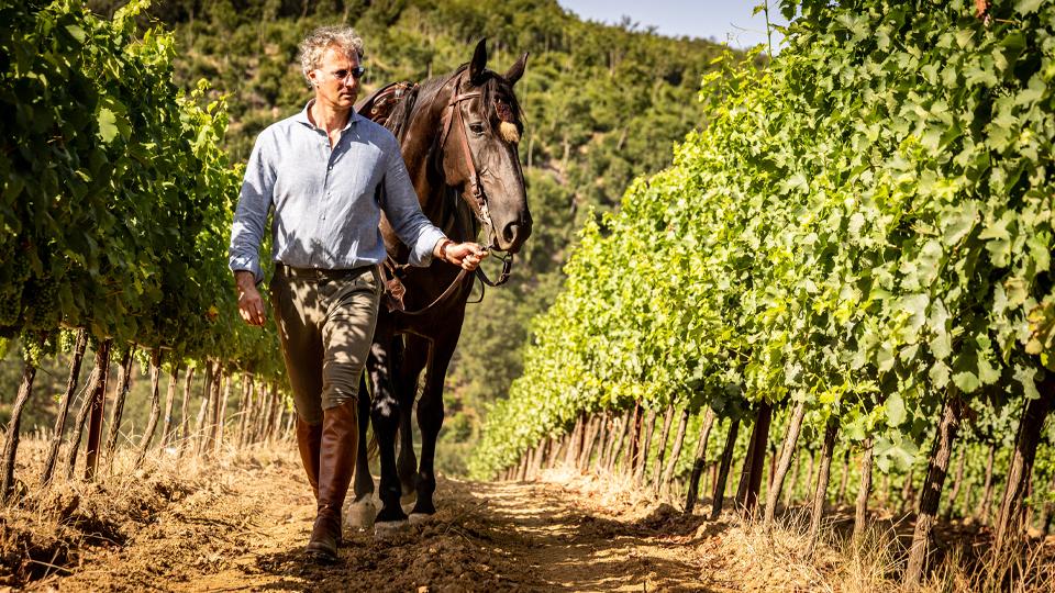 Enos 2024 di Tenuta Montauto, al vino Sauvignon il ‘Tre Bicchieri’