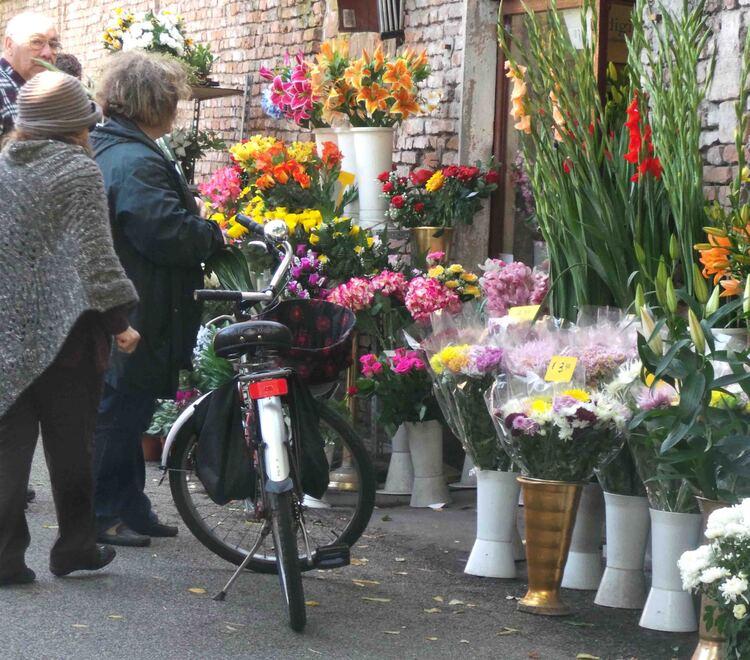 Fiorai presi d’assalto a Ferrara: crisantemo in vetta, segue il ciclamino