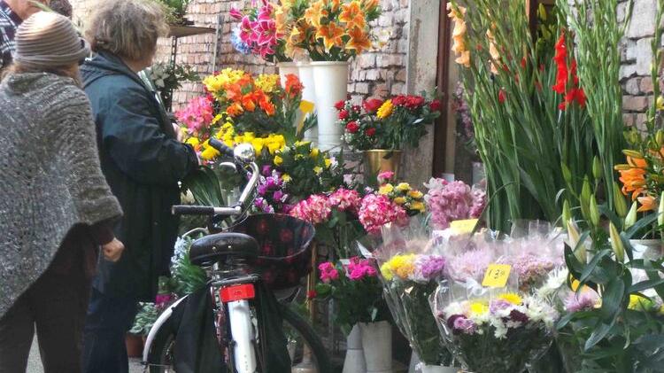 Fiorai presi d’assalto a Ferrara: crisantemo in vetta, segue il ciclamino