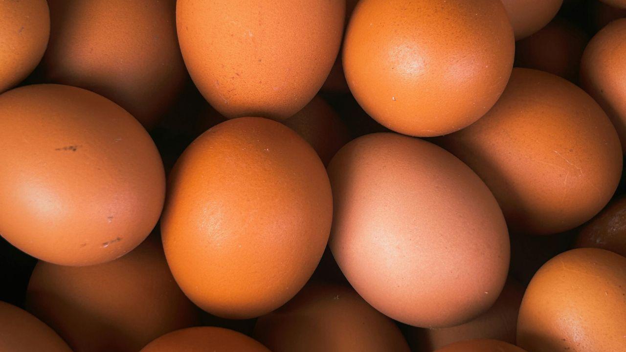 
	Uova fresche ritirate dal mercato (Foto di repertorio)

