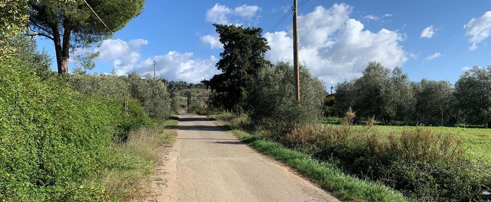 
	La zona degli ultimi furti

