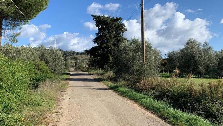 La zona degli ultimi furti