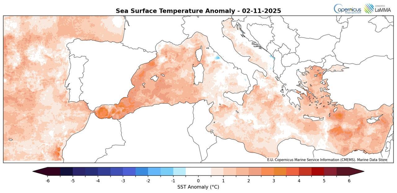 
	La mappa del Lamma sulle temperature dei mari a novembre

