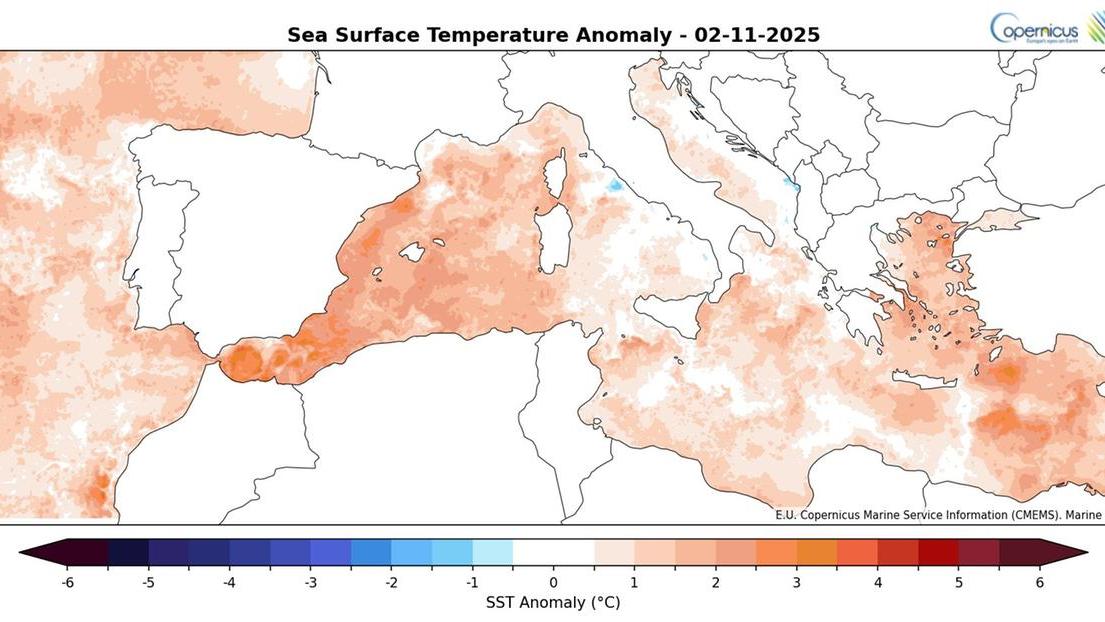 La mappa del Lamma sulle temperature dei mari a novembre