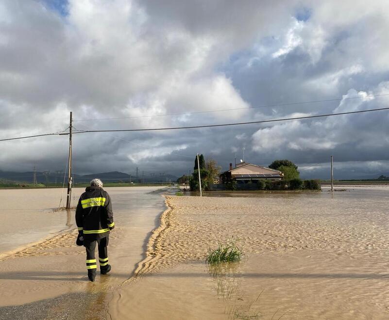 
	I campi allagati in Val di Cornia


