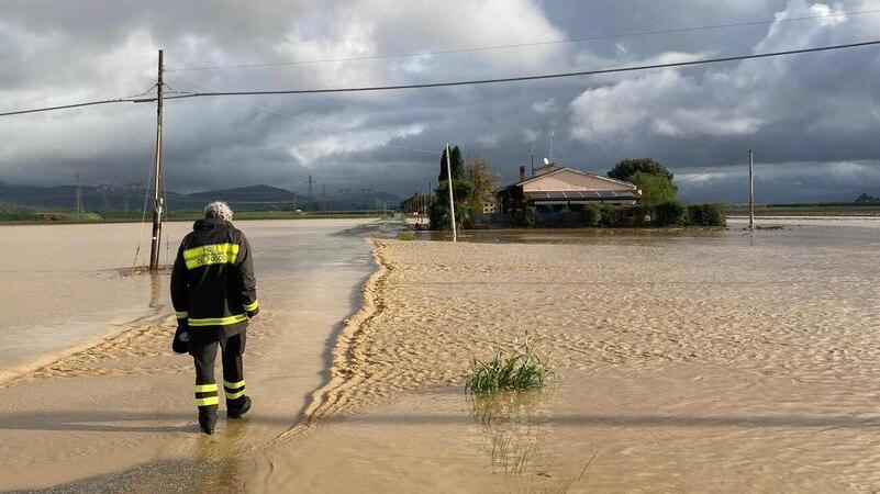 I campi allagati in Val di Cornia
