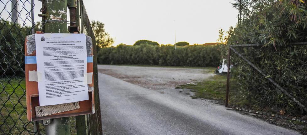 Un caso di virus Chikungunya a Grosseto