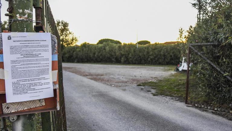 Un caso di virus Chikungunya a Grosseto